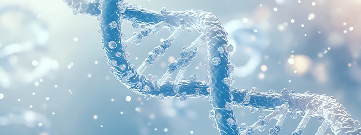 纳米包裹制剂平台